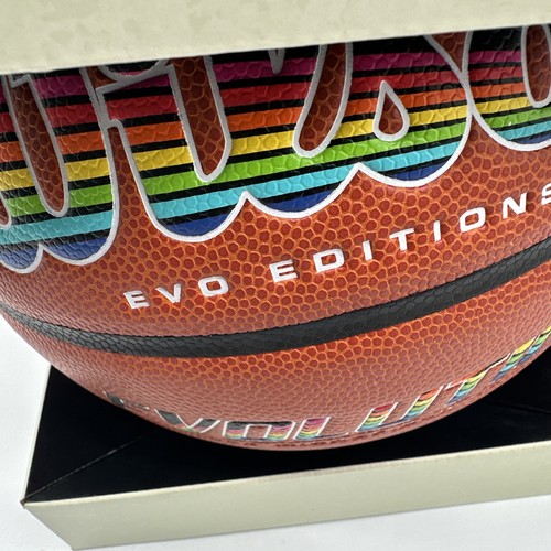 Wilson evolution basketball - wilson,