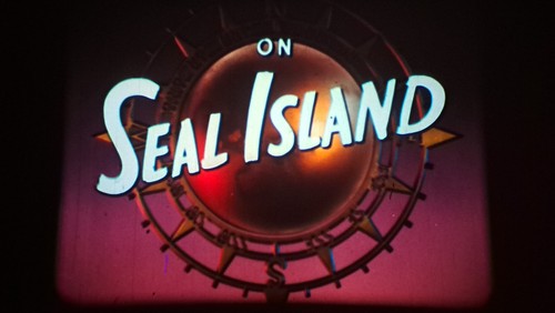 Disney seal island - disney's,